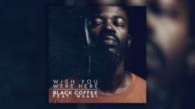 Black Coffee – Wish You Were Here feat. Msaki [Ultra Music]